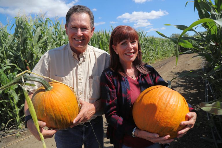 The art of reinvention