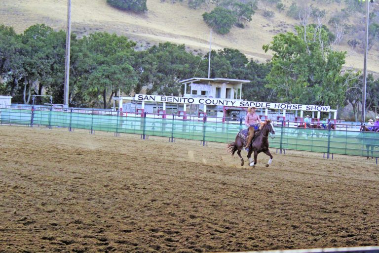 Saddle up to the fair