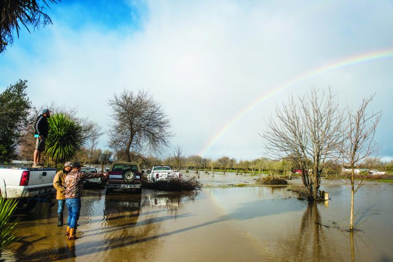 County further delays levee decision