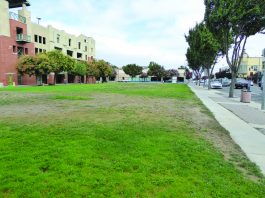 Question of the Week 10/27/17