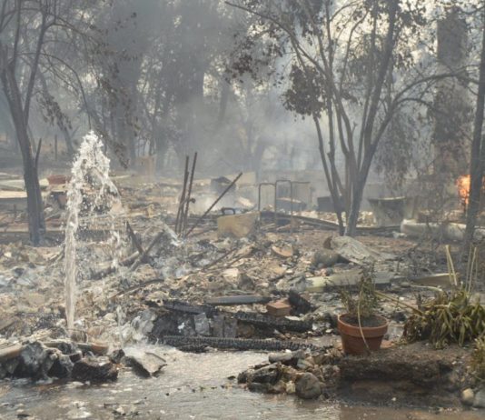 Disaster brings out the best in people