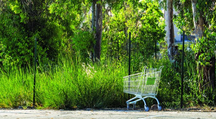 Council preps for shopping cart ordinance