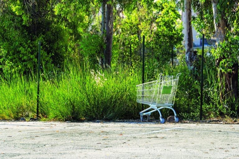 Council preps for shopping cart ordinance