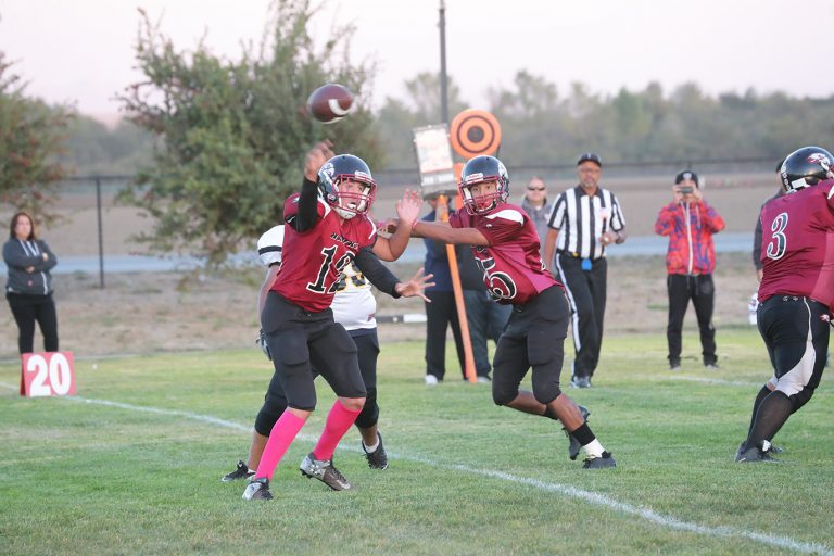 Hawks’ Lindholm a consistent force