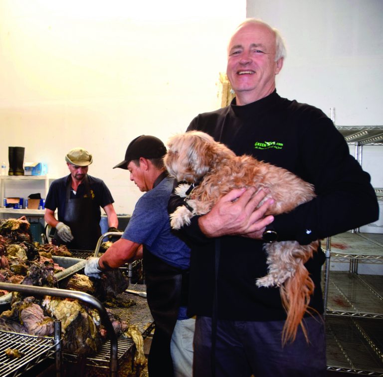 Green hype edges out out Green Tripe