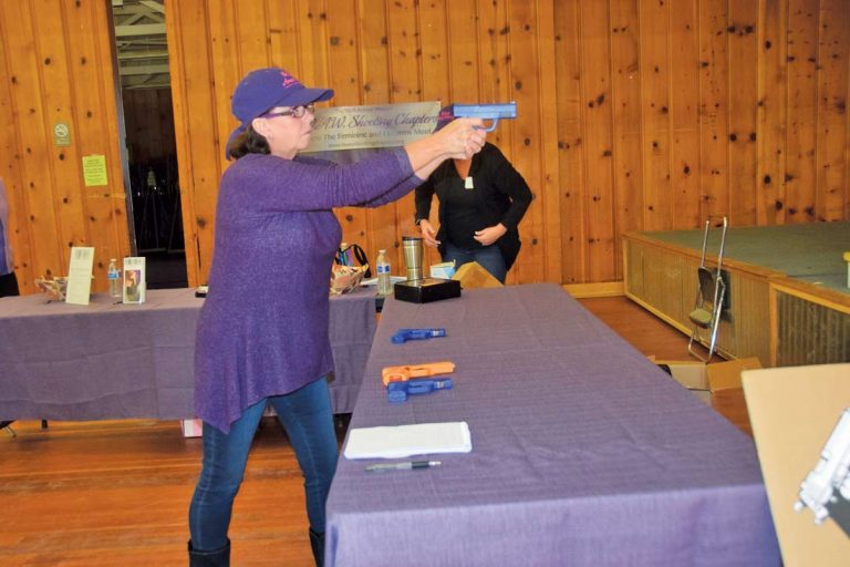 Gun show attracts fans