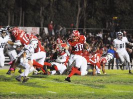 Navarro a big-time playmaker