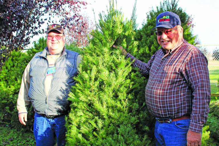 Tree sale funds scholarships for local students