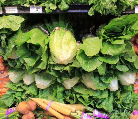 California lettuce called safe