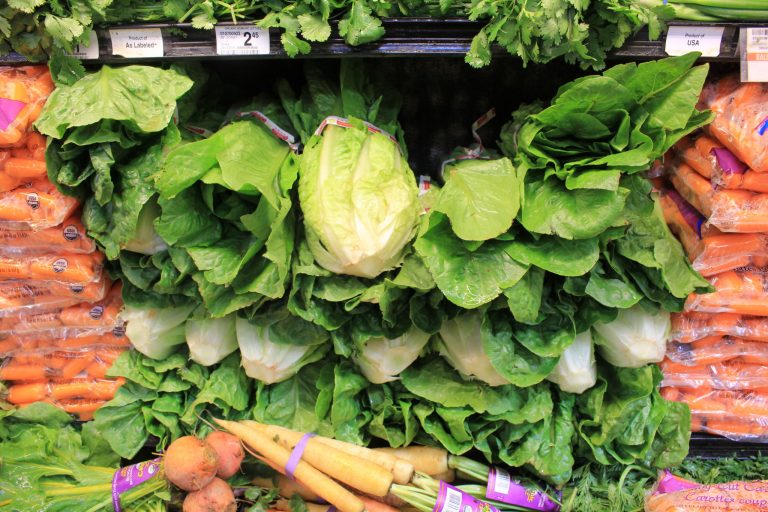 California lettuce called safe