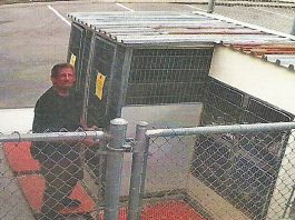 Man arrested after breaking into kennel