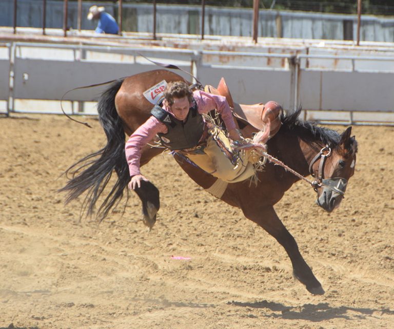 Ride ’em, Cowboy!