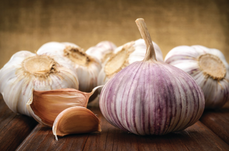 How does your garlic grow?