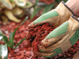 Fire safety in the garden