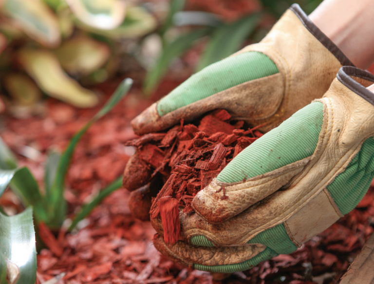 Fire safety in the garden