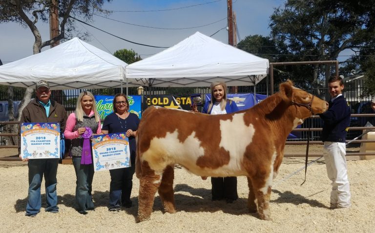 FFA shows well at Monterey County Fair