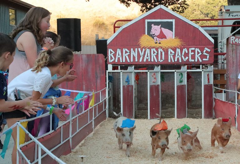 County holds 95th annual fair