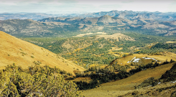 mountain summit at Red Lake
