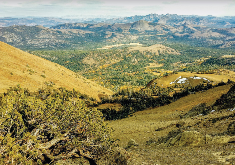 mountain summit at Red Lake