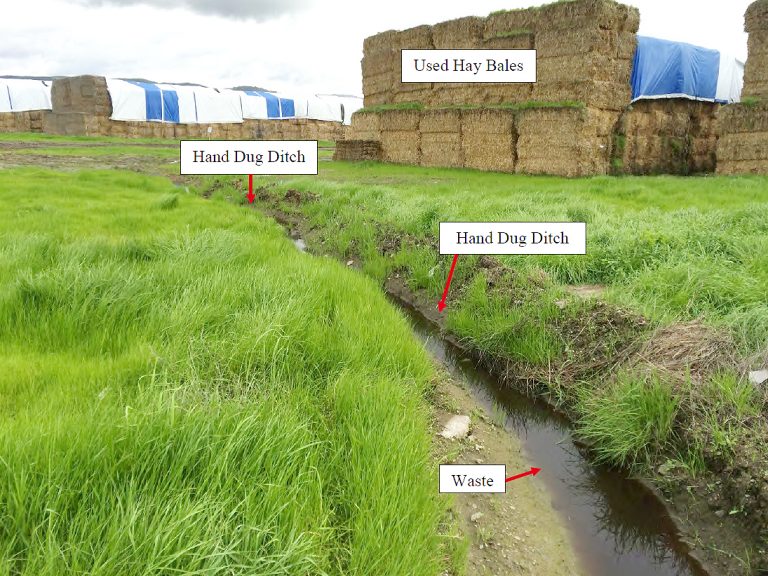 Mushroom grower has history of violations