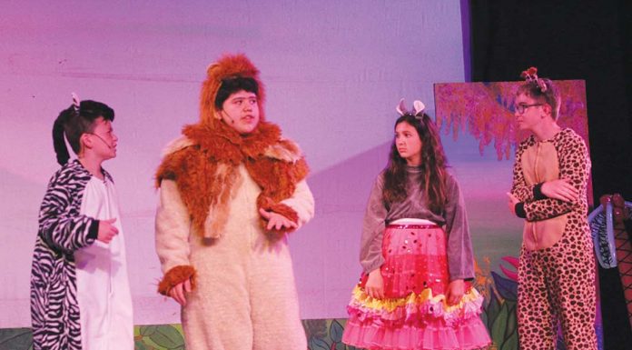 ‘Movin’ it’ with Madagascar Jr.