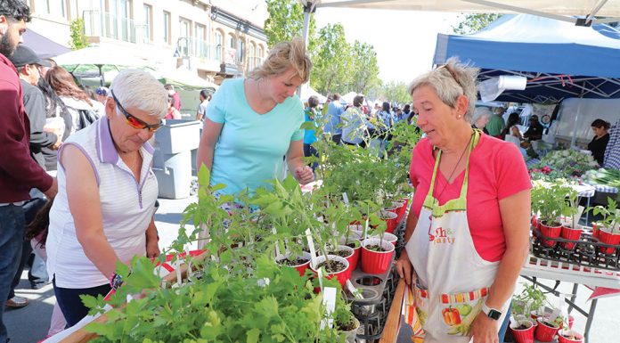 Market booms on opening day