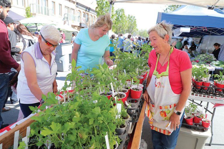 Market booms on opening day