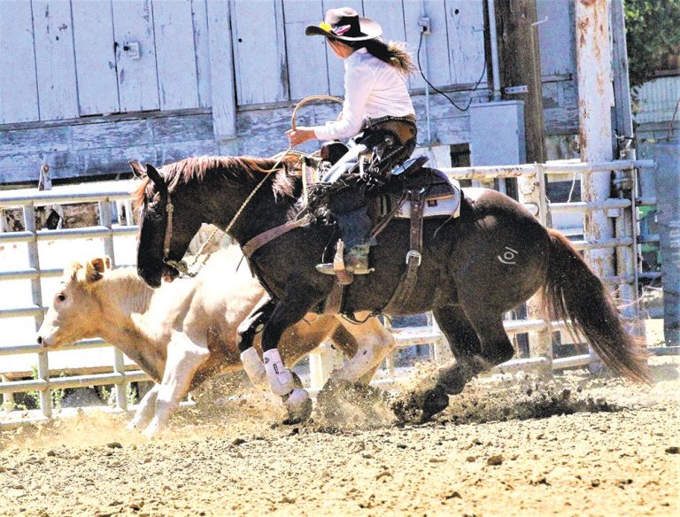 Hollister Rodeo Weekend Arrives