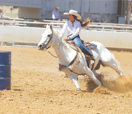 Local Scene: Bolado Park Rodeo set for June