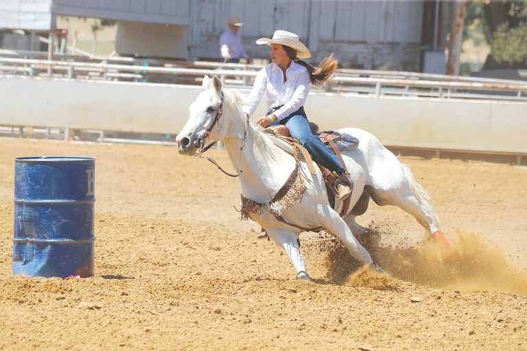 It’s wrangler time