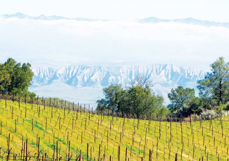 Somewhat east of Eden