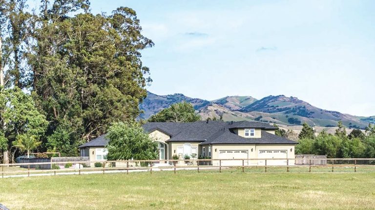 New home on the pasture