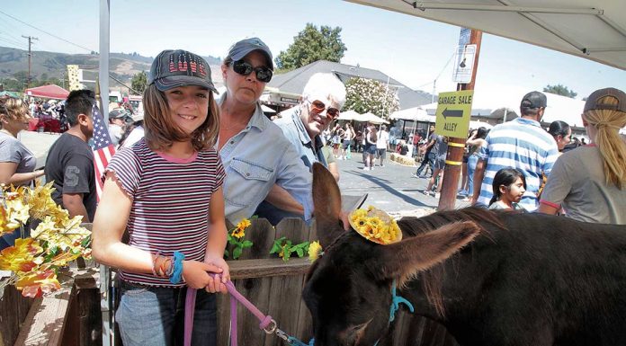 Aromas Day draws thousands