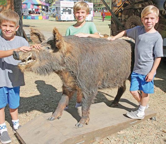 Covid-19 puts limits on county fair