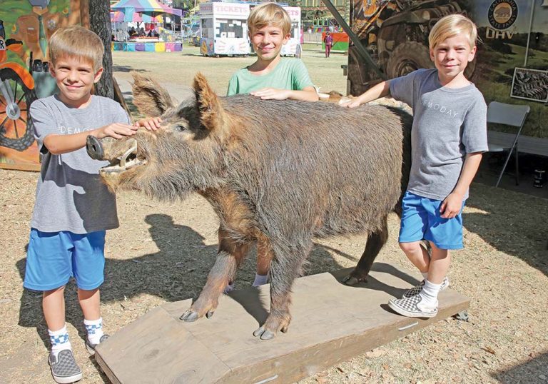 Covid-19 puts limits on county fair