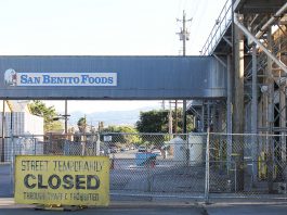 Dry rot found by city in roof timbers