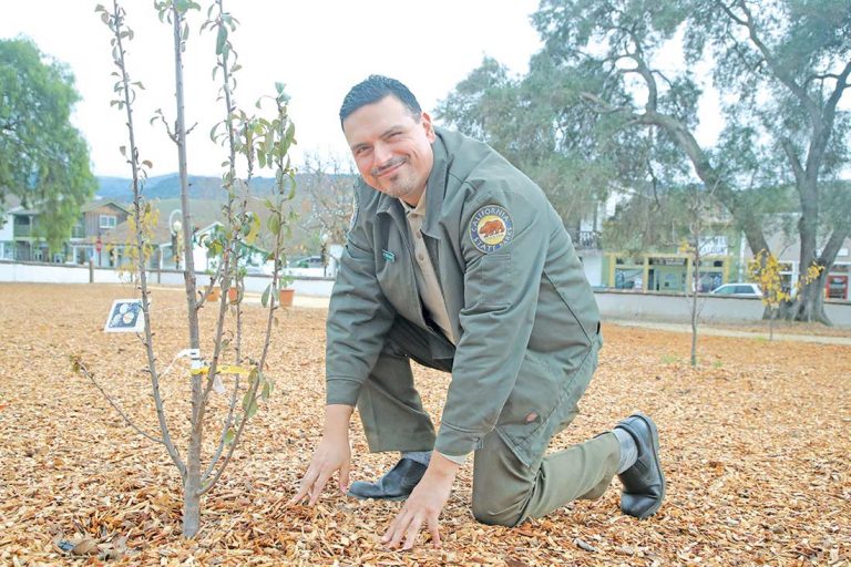 San Juan orchard gets refreshed