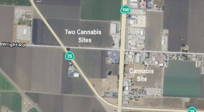 One million square feet of cannabis plants