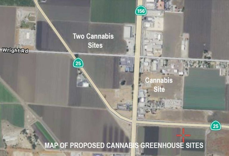 One million square feet of cannabis plants