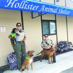 Image for display with article titled Hollister Animal Care Closes City’s Night Kennel