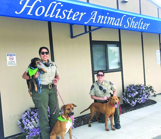 Hollister Animal Care closes city’s night kennel
