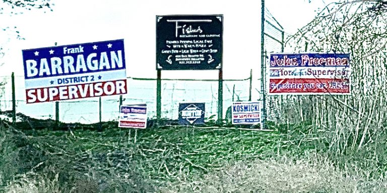 Medina wins District 1 re-election, Kosmicki leads in District 2, tight race in District 5