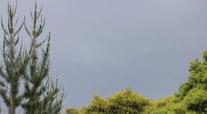 Strong thunderstorm hits region