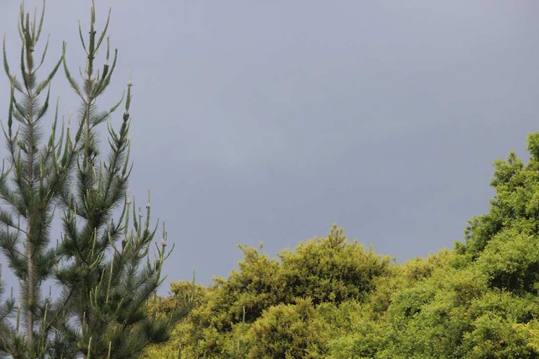 Strong thunderstorm hits region