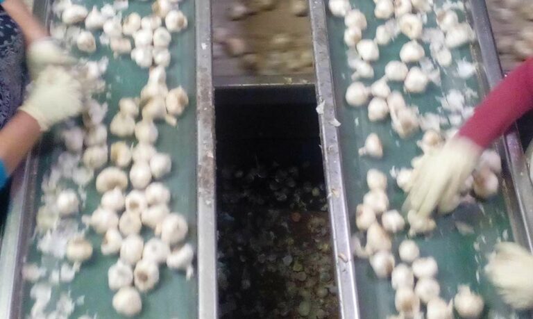 Christopher Ranch employee tests positive for Covid-19