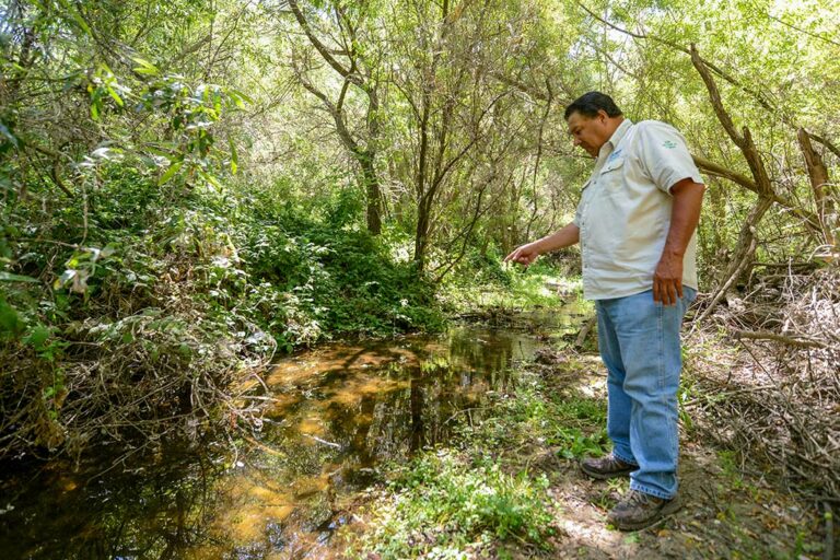 Threatened trout return to San Benito River
