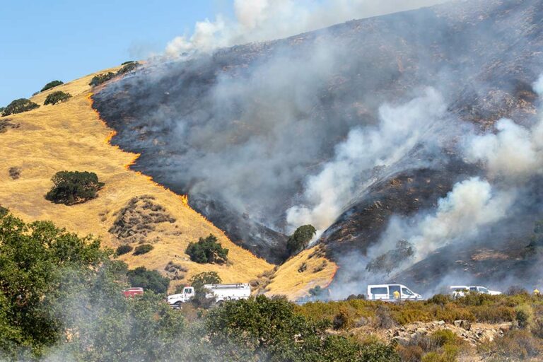 Wildfires and climate: a vicious cycle