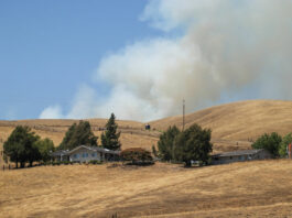 Air quality rated ‘unhealthy’ for high-risk groups