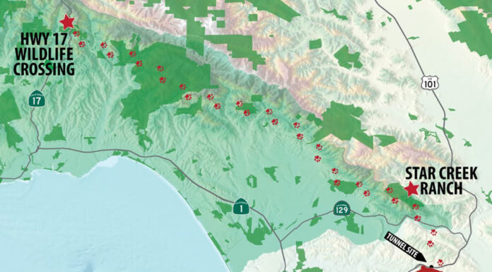 Rocks Ranch property sold to conservationist