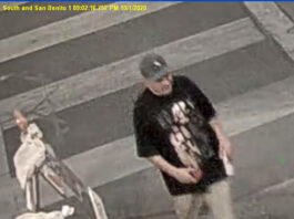Hollister Police investigate vandalism incidents